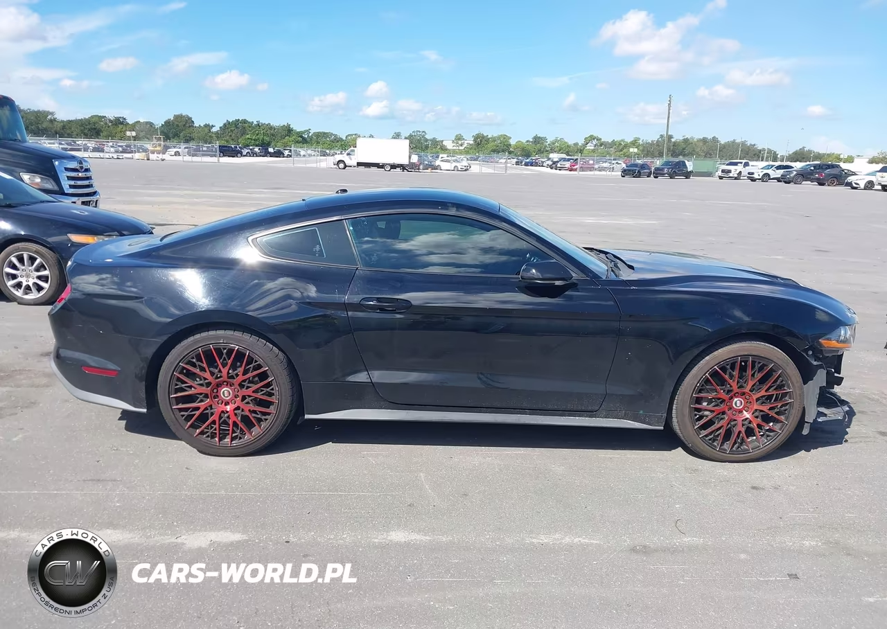 2019 Ford Mustang Ecoboost VIN:1FA6P8TH8K5173976 - 13