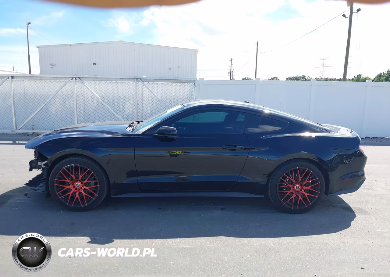 2019 Ford Mustang Ecoboost VIN:1FA6P8TH8K5173976 - 14