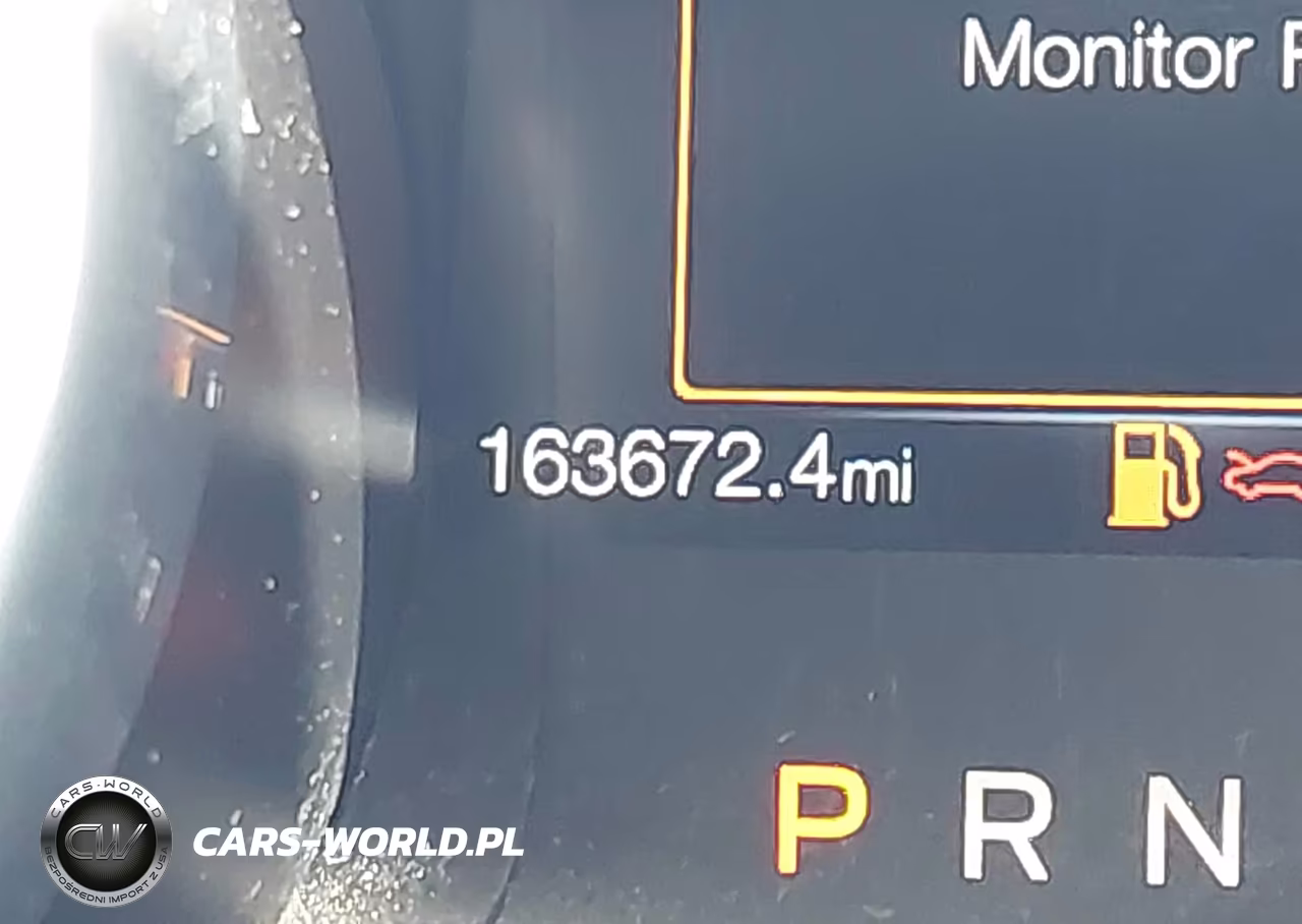 2019 Ford Mustang Ecoboost VIN:1FA6P8TH8K5173976 - 15