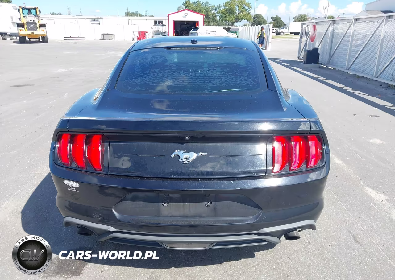 2019 Ford Mustang Ecoboost VIN:1FA6P8TH8K5173976 - 16