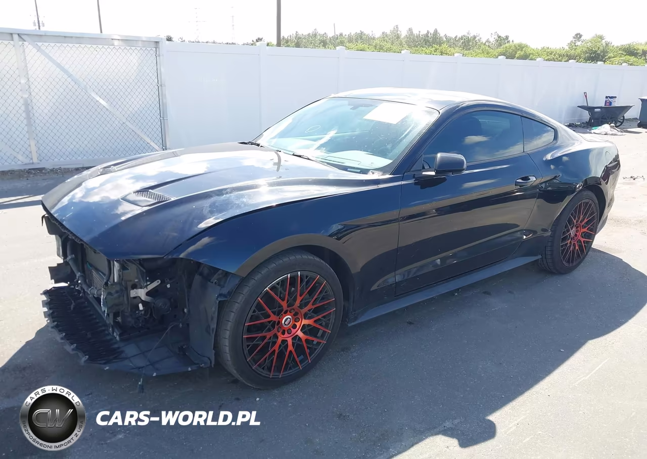 2019 Ford Mustang Ecoboost VIN:1FA6P8TH8K5173976 - 2