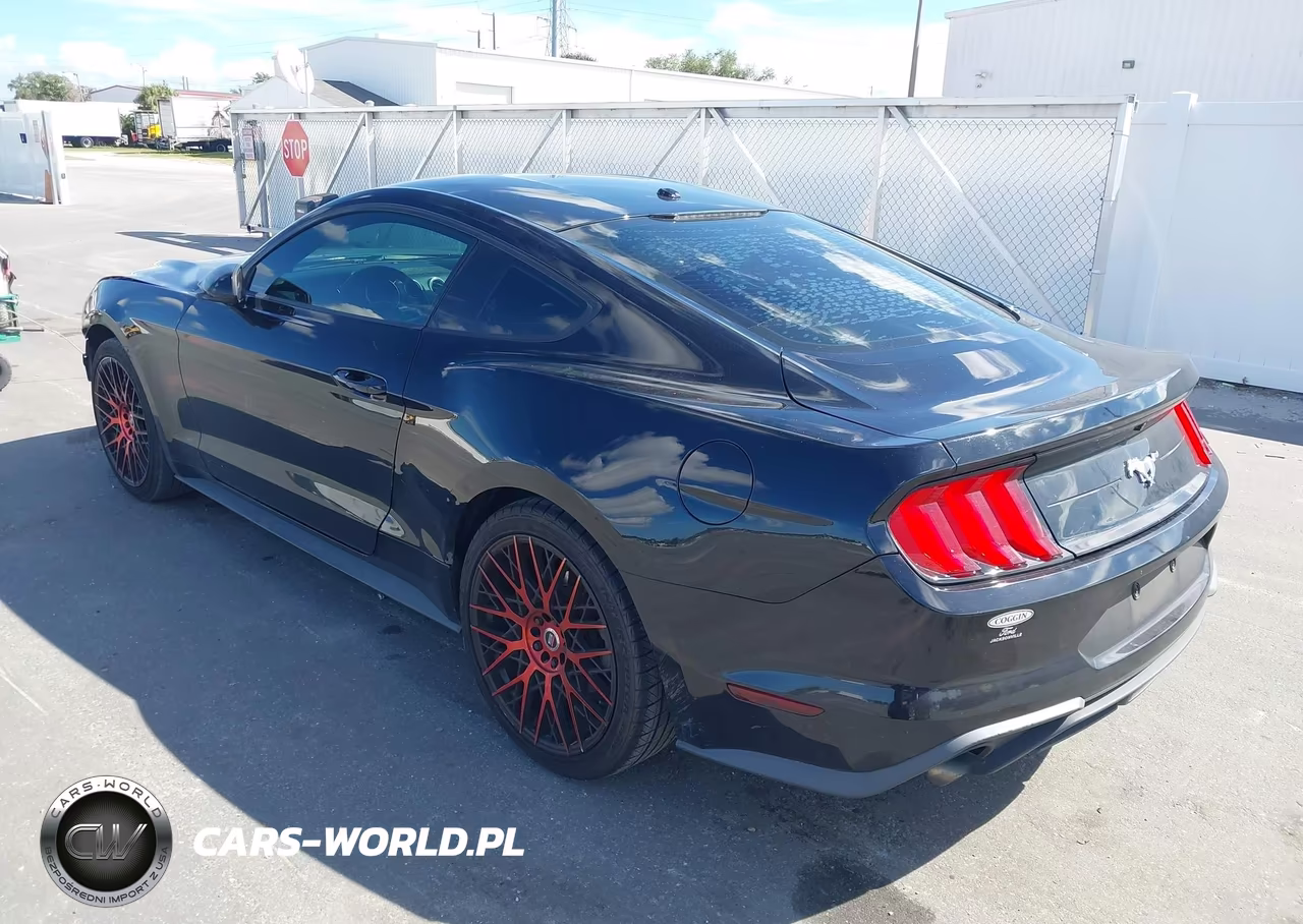 2019 Ford Mustang Ecoboost VIN:1FA6P8TH8K5173976 - 3