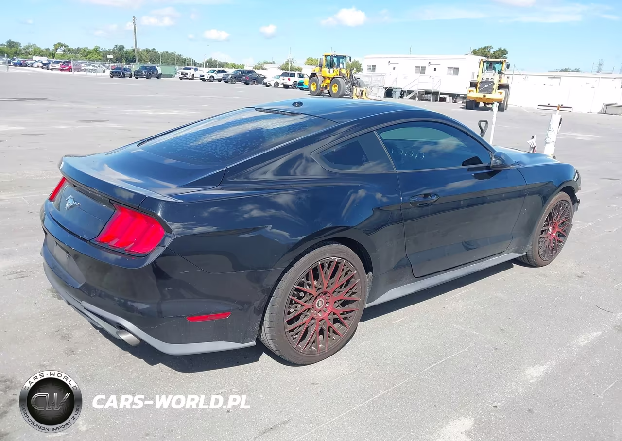 2019 Ford Mustang Ecoboost VIN:1FA6P8TH8K5173976 - 4