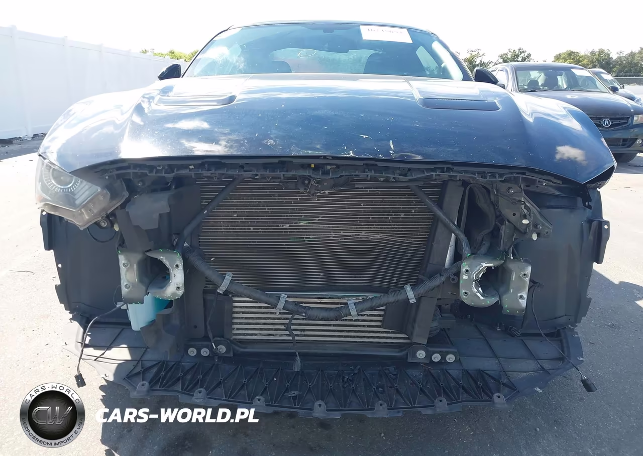 2019 Ford Mustang Ecoboost VIN:1FA6P8TH8K5173976 - 6