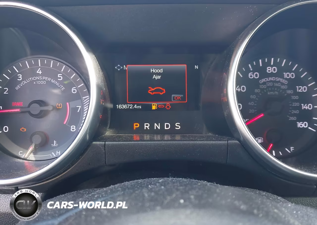 2019 Ford Mustang Ecoboost VIN:1FA6P8TH8K5173976 - 7