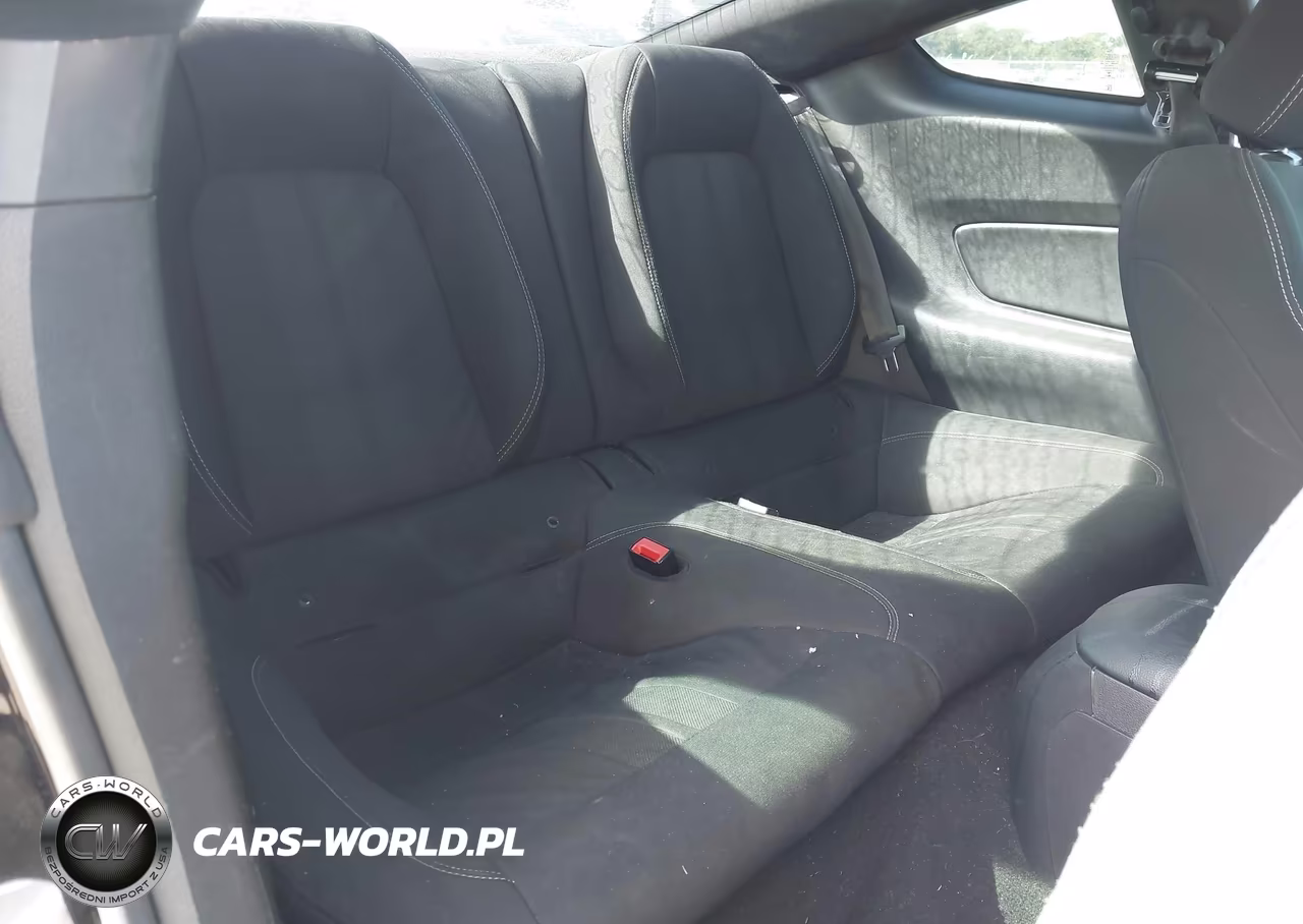 2019 Ford Mustang Ecoboost VIN:1FA6P8TH8K5173976 - 8