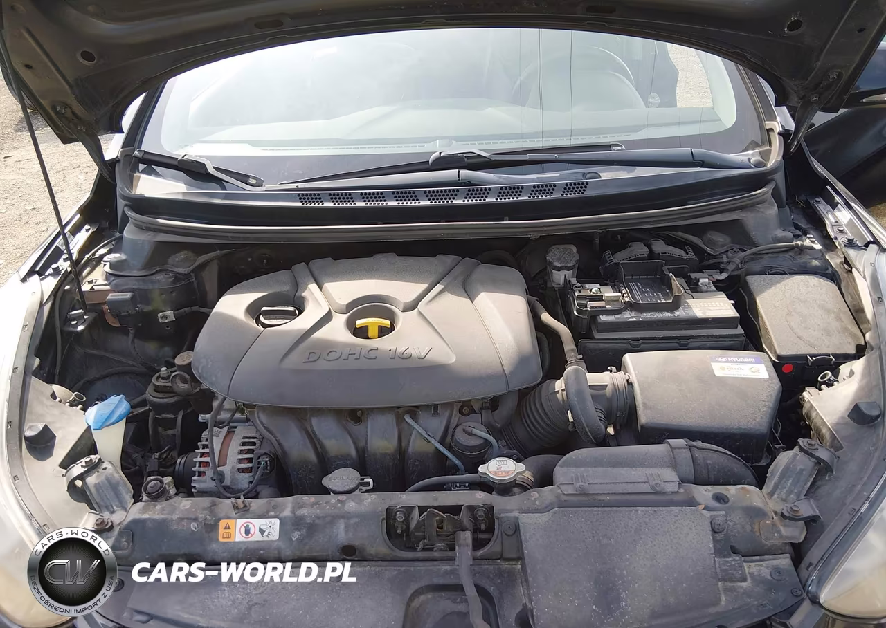 2014 Hyundai Elantra Limited VIN:KMHDH4AE2EU134273 - 10