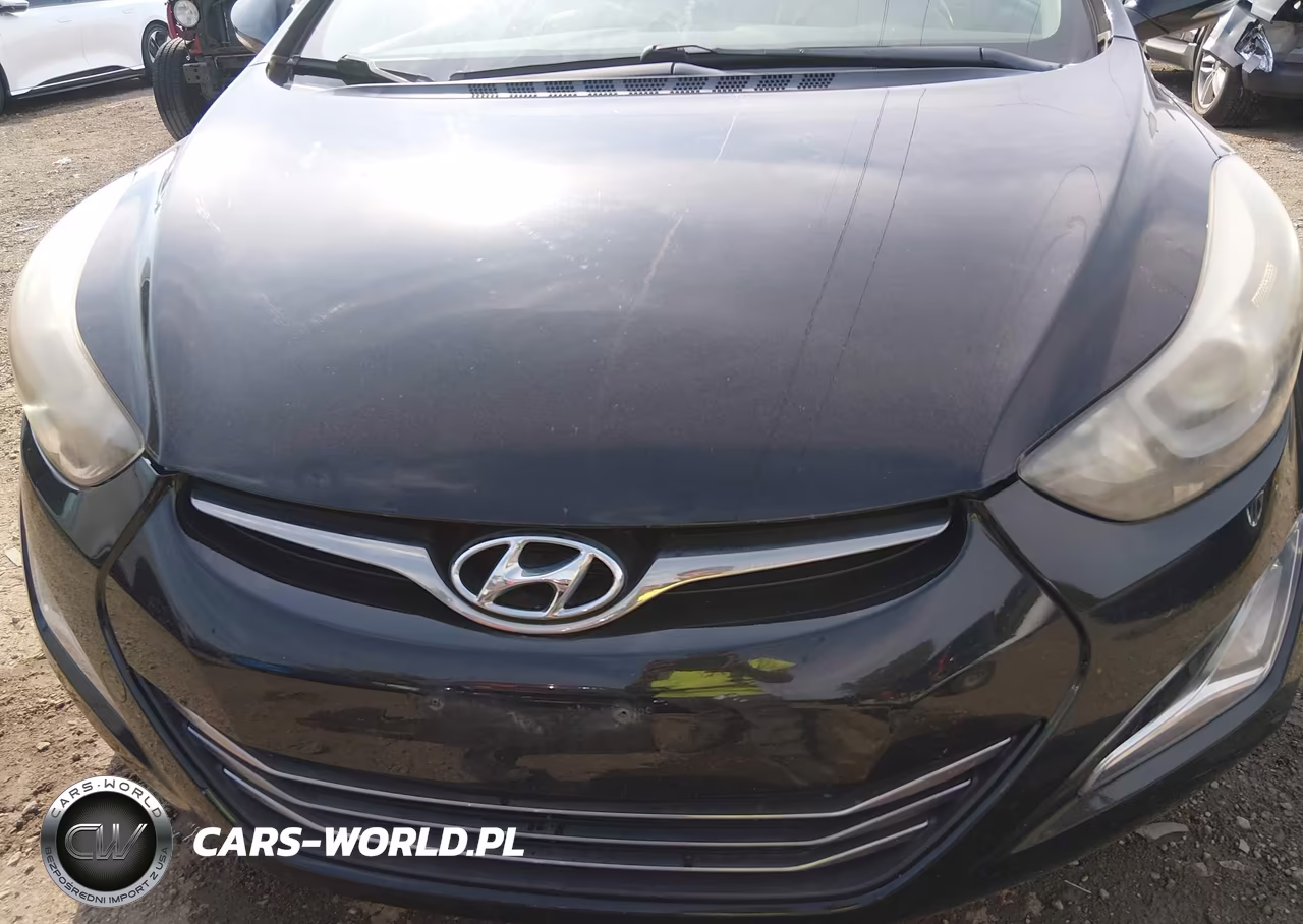 2014 Hyundai Elantra Limited VIN:KMHDH4AE2EU134273 - 6