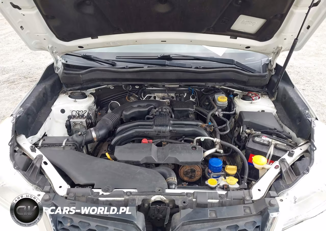 2014 Subaru Forester 2.5I VIN:JF2SJAAC0EH454764 - 10