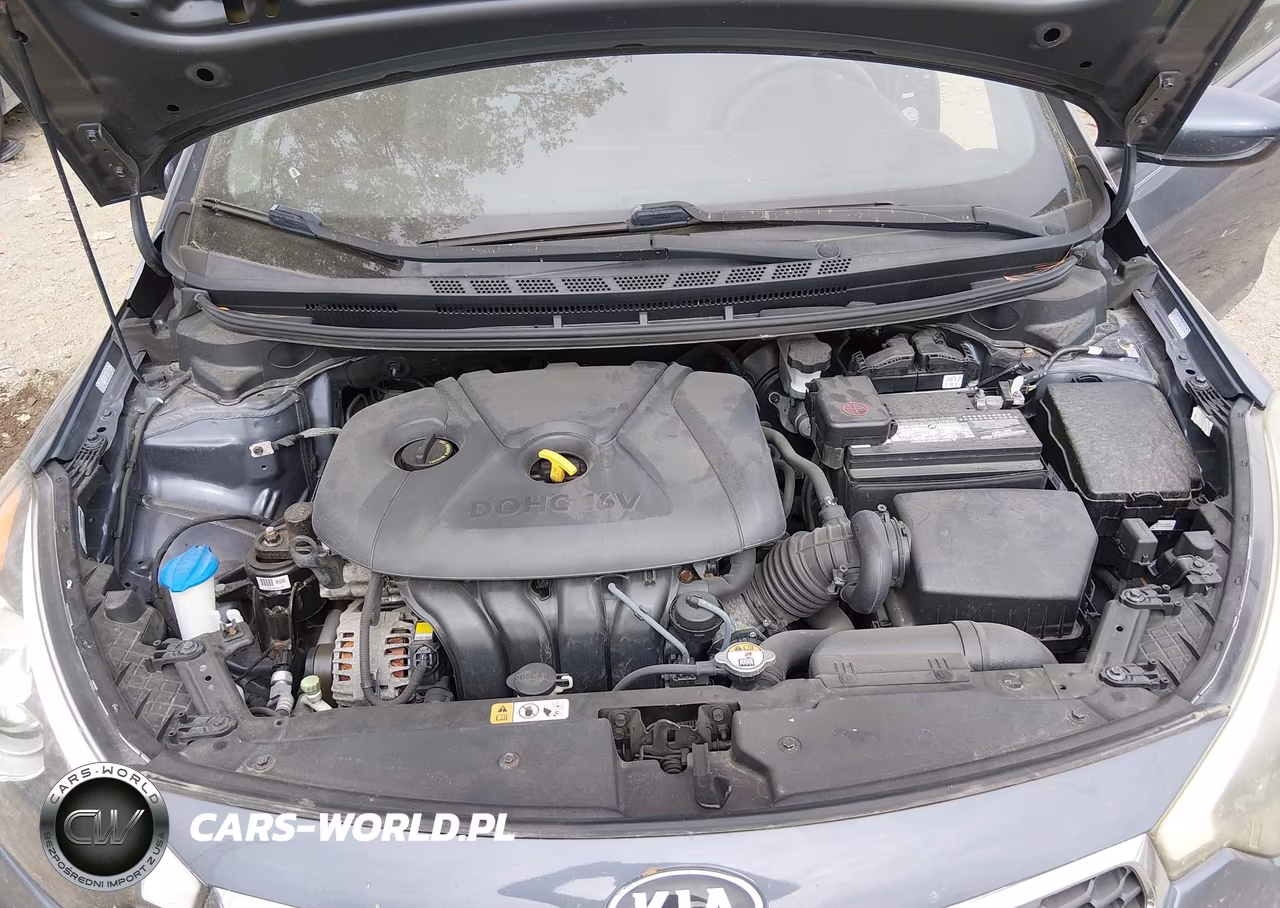 2014 Kia Forte Lx VIN:KNAFX4A62E5079579 - 10