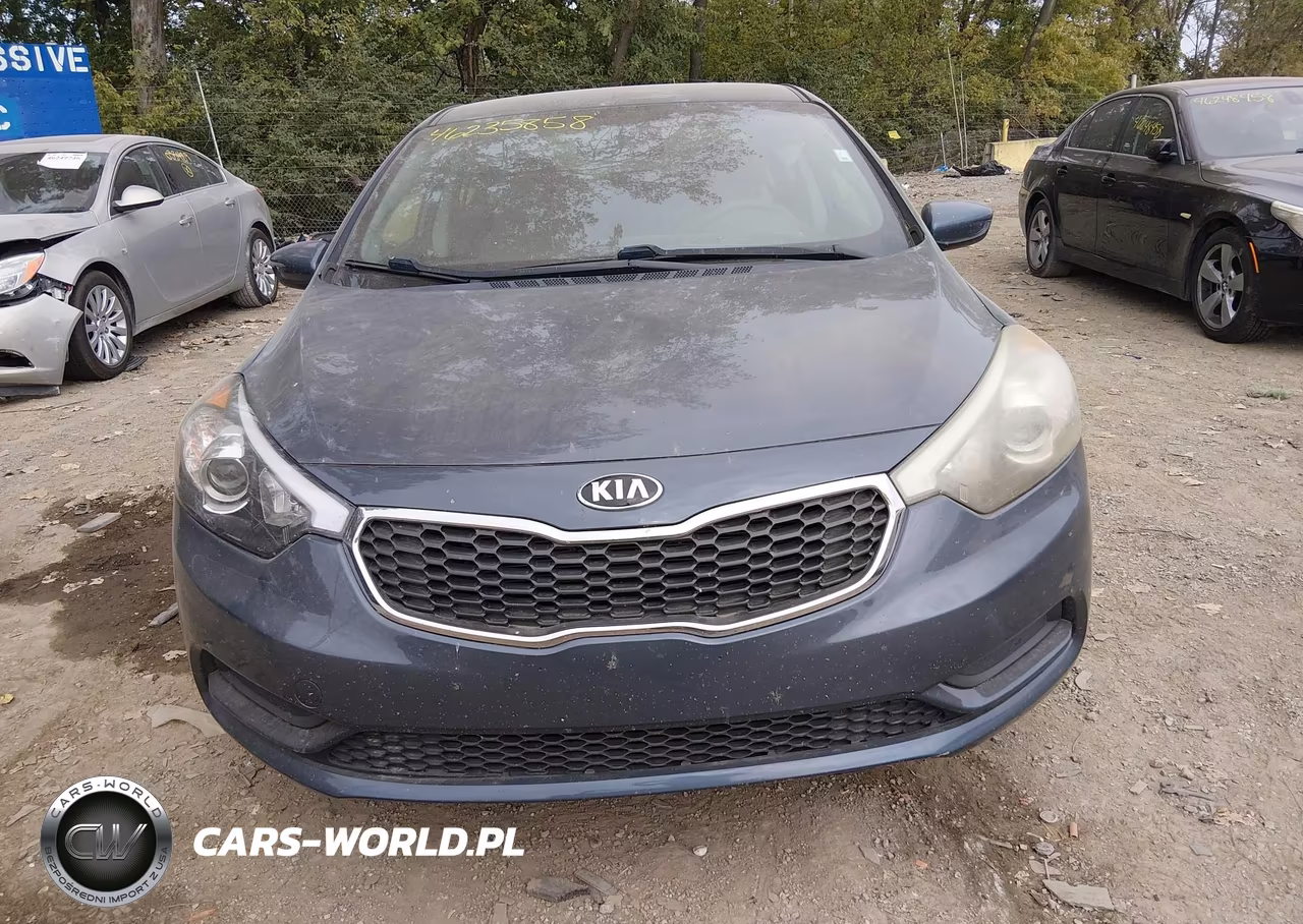 2014 Kia Forte Lx VIN:KNAFX4A62E5079579 - 12