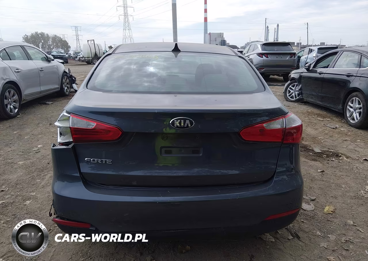 2014 Kia Forte Lx VIN:KNAFX4A62E5079579 - 16
