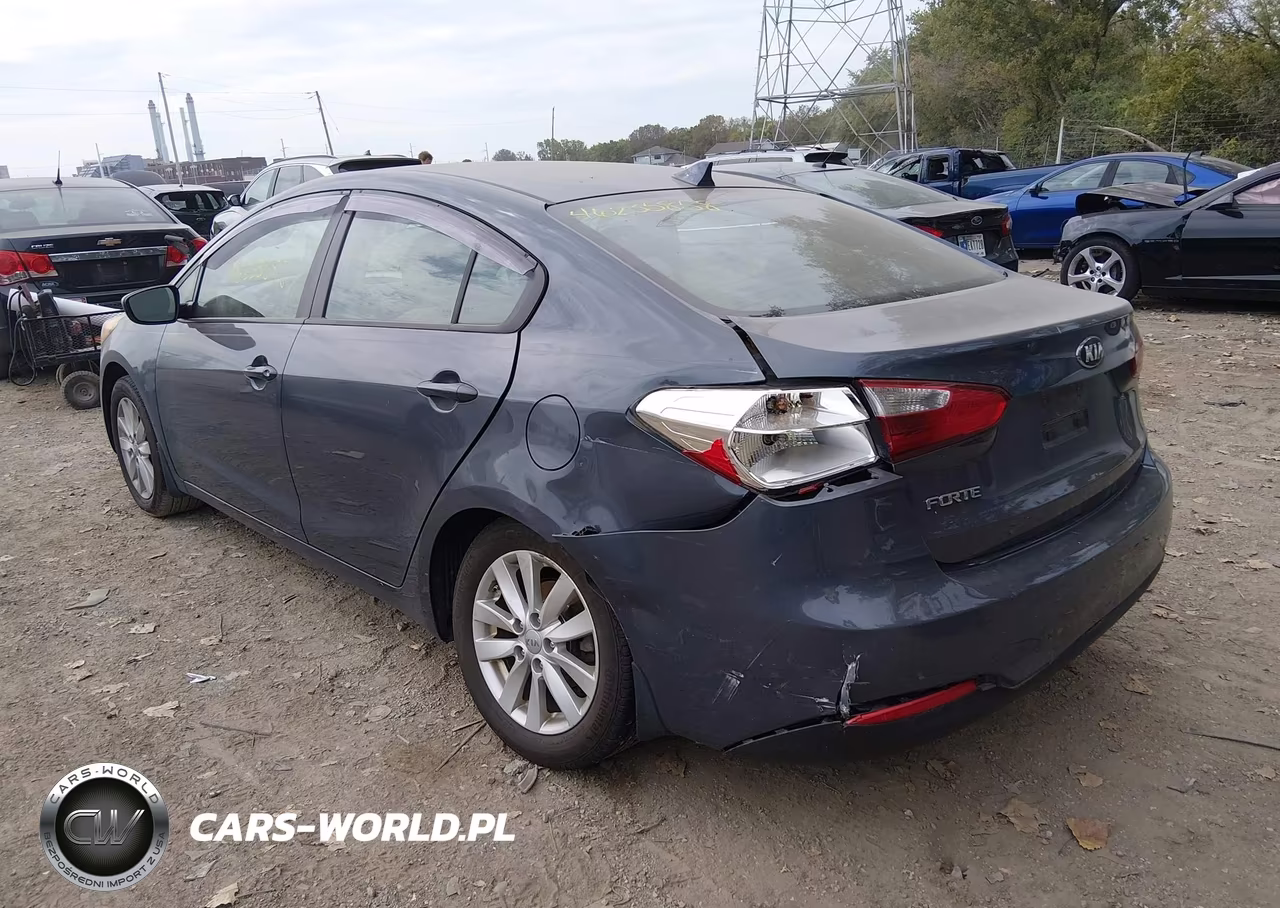 2014 Kia Forte Lx VIN:KNAFX4A62E5079579 - 3
