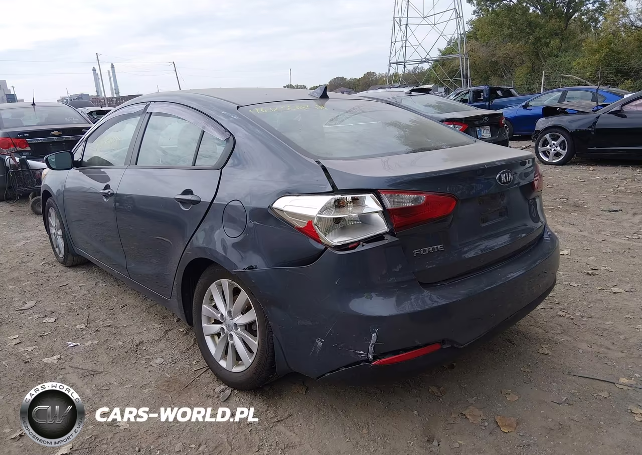 2014 Kia Forte Lx VIN:KNAFX4A62E5079579 - 6