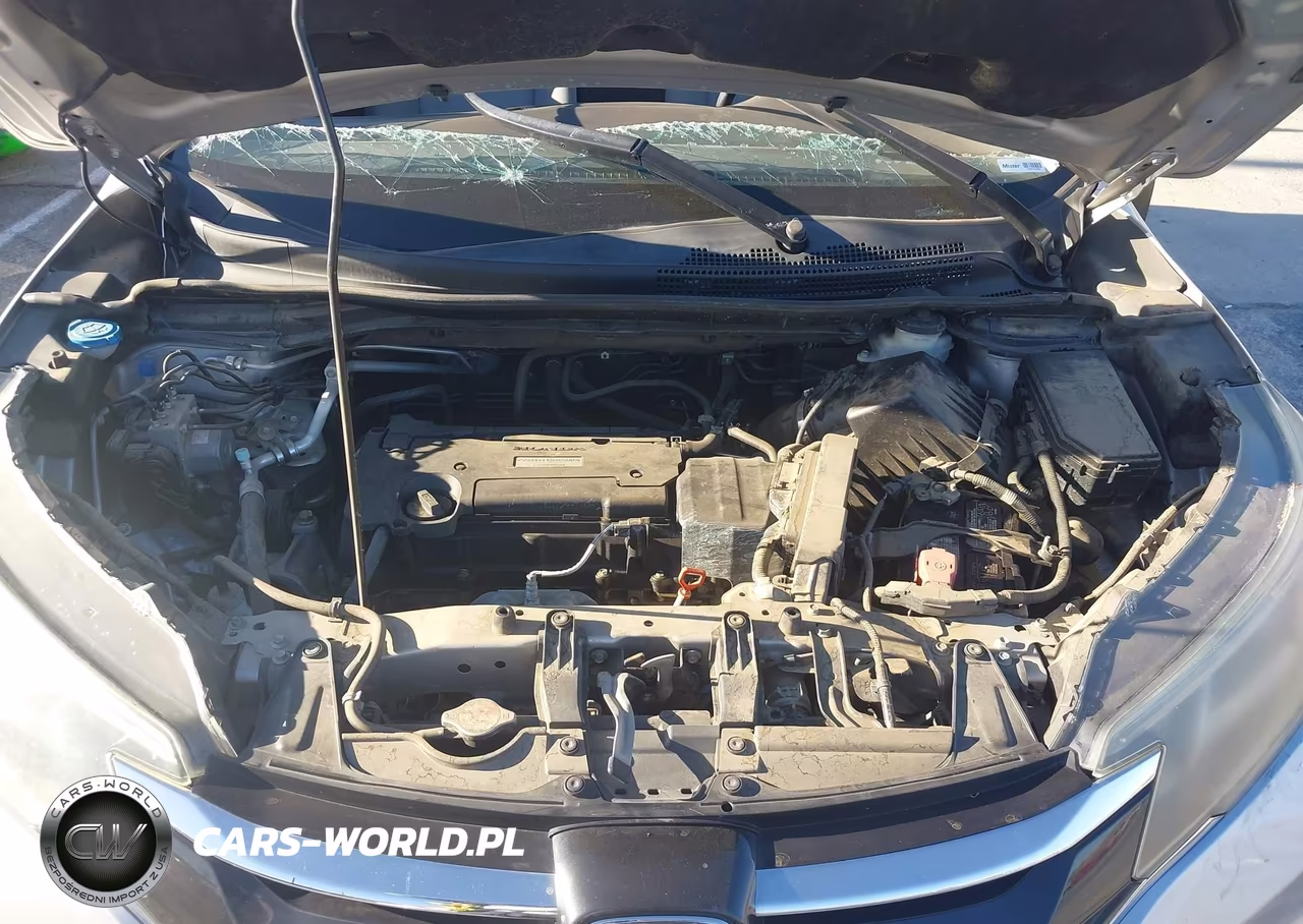 2016 Honda Cr-V Lx VIN:3CZRM3H33GG705869 - 10