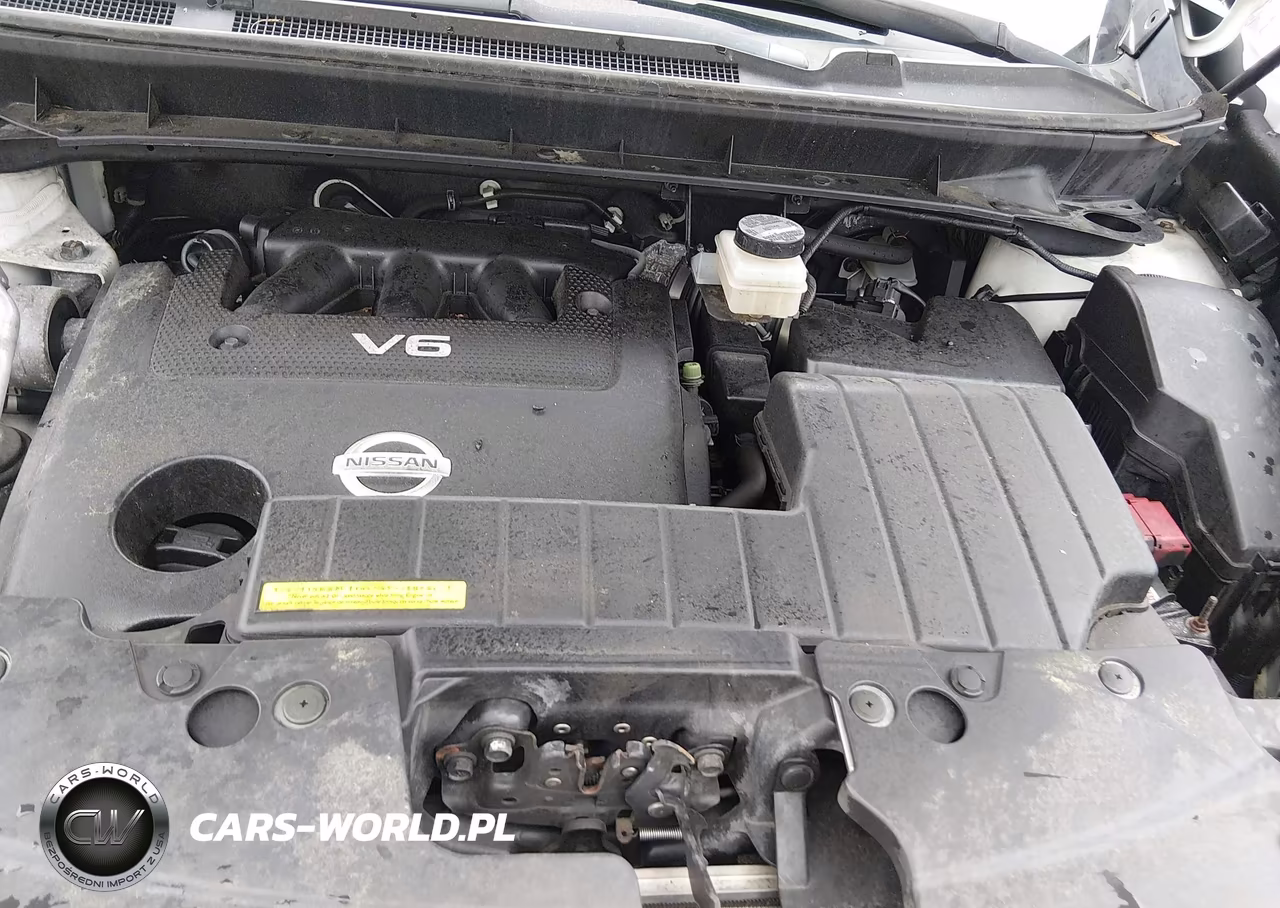 2014 Nissan Murano Sl VIN:JN8AZ1MWXEW518186 - 10