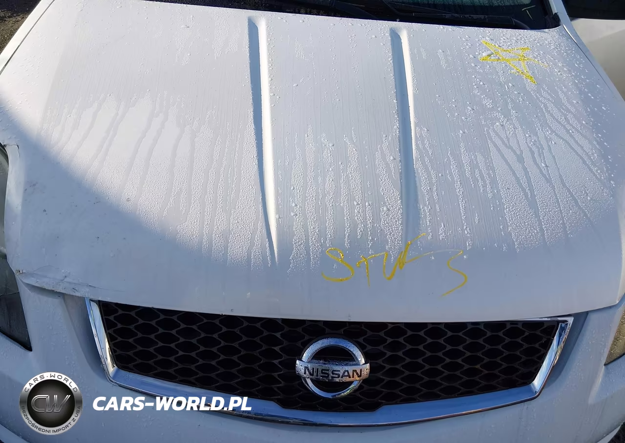 2010 Nissan Sentra 2.0Sr VIN:3N1AB6AP7AL685943 - 10