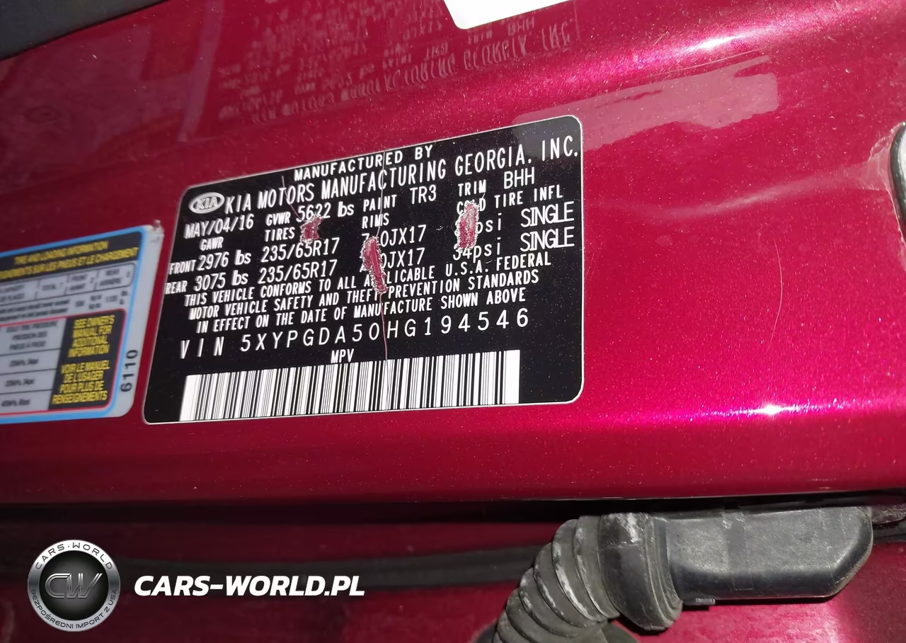 2017 Kia Sorento 3.3L Lx VIN:5XYPGDA50HG194546 - 9