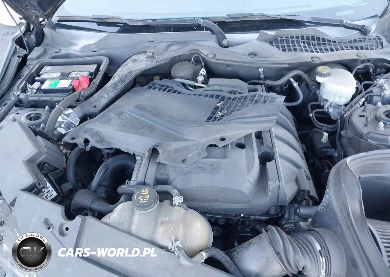 2017 Ford Mustang Ecoboost VIN:1FA6P8TH7H5292918 - 10
