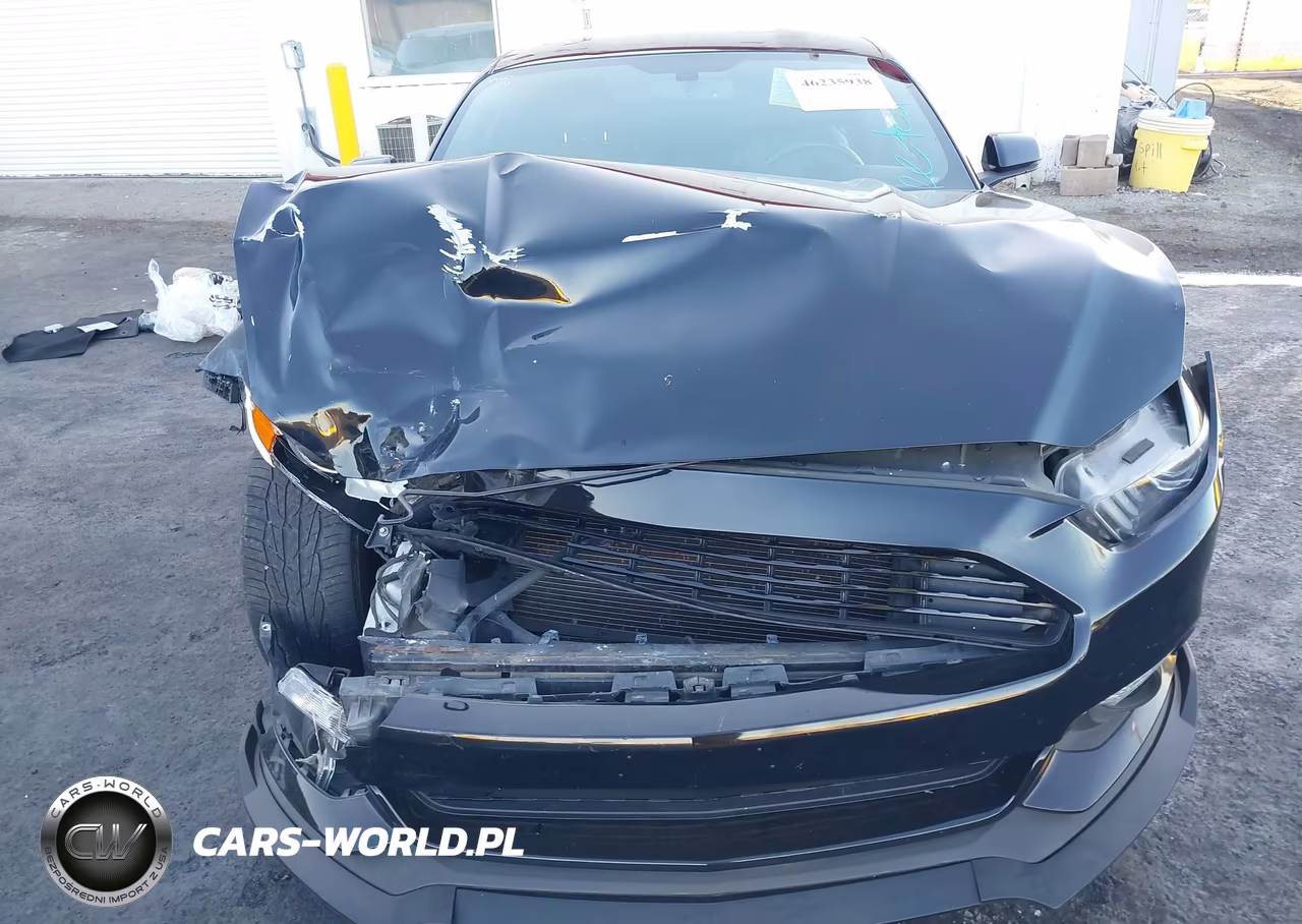2017 Ford Mustang Ecoboost VIN:1FA6P8TH7H5292918 - 13