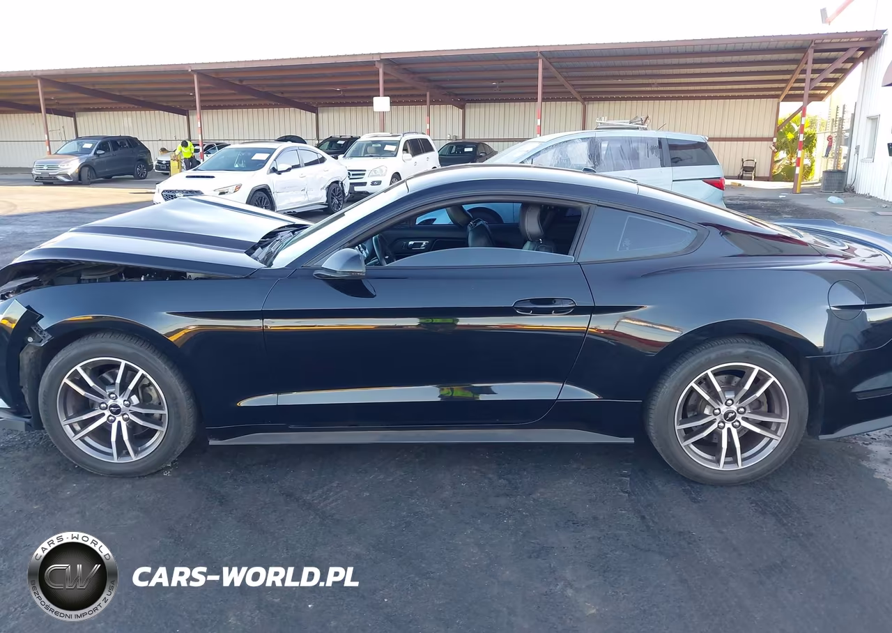 2017 Ford Mustang Ecoboost VIN:1FA6P8TH7H5292918 - 15