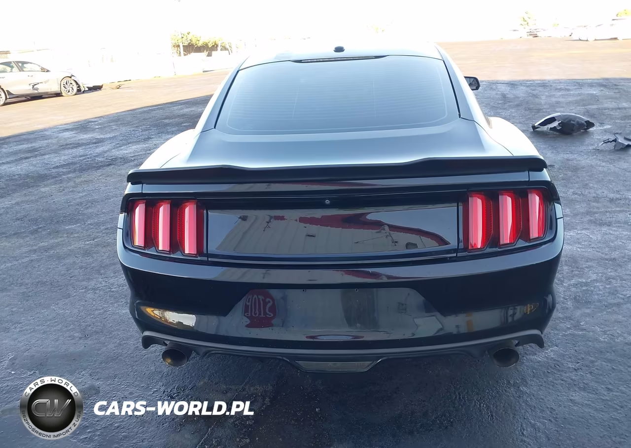 2017 Ford Mustang Ecoboost VIN:1FA6P8TH7H5292918 - 17