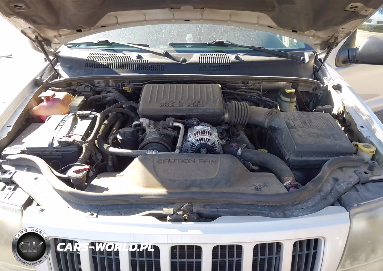 2004 Jeep Grand Cherokee Laredo VIN:1J4GX48N04C436606 - 10