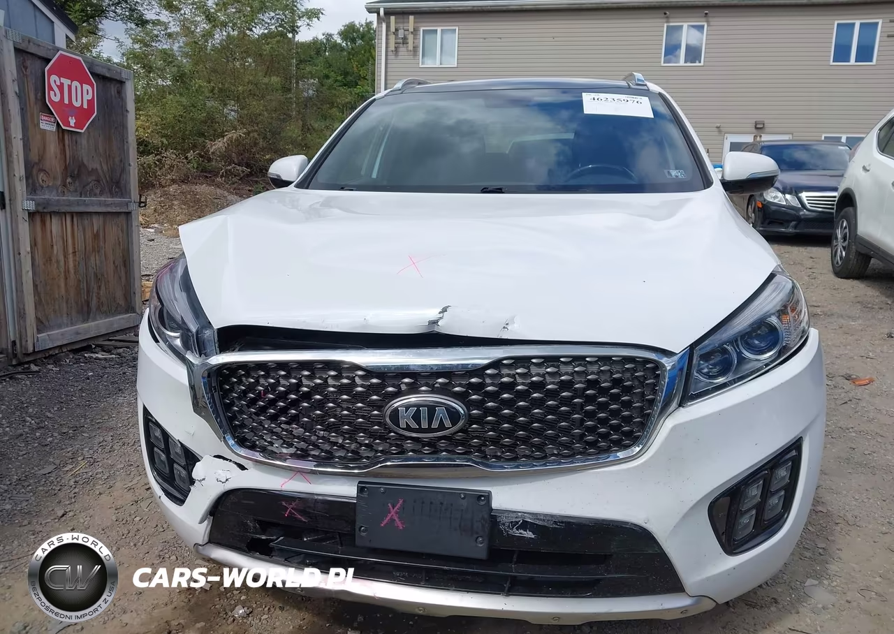2016 Kia Sorento 3.3L Sxl VIN:5XYPKDA59GG013666 - 12