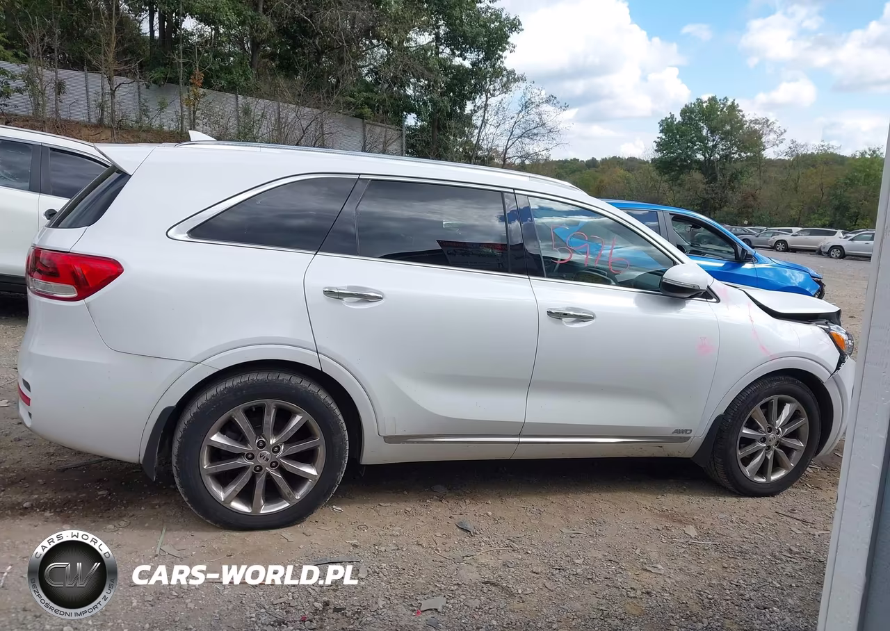 2016 Kia Sorento 3.3L Sxl VIN:5XYPKDA59GG013666 - 13