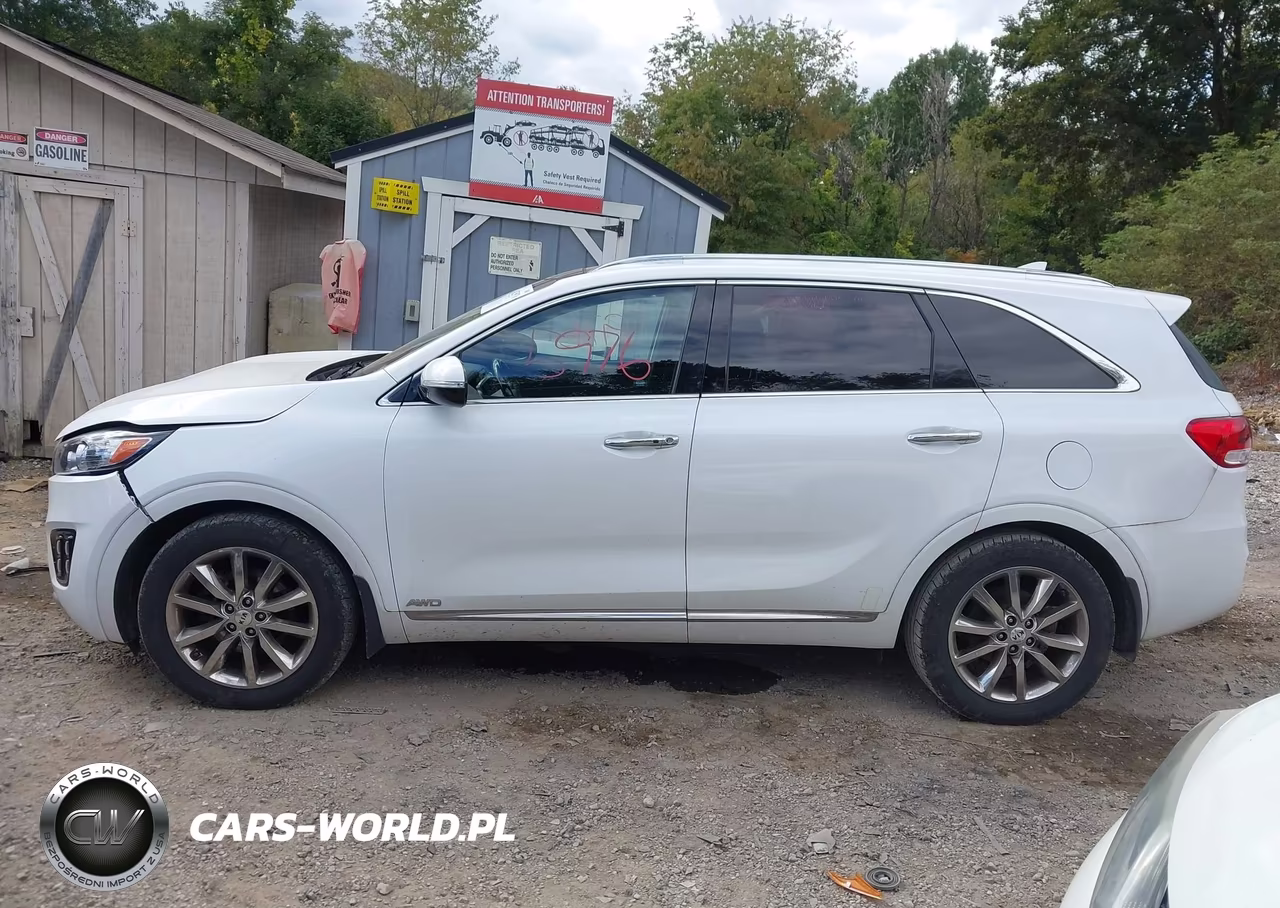 2016 Kia Sorento 3.3L Sxl VIN:5XYPKDA59GG013666 - 14
