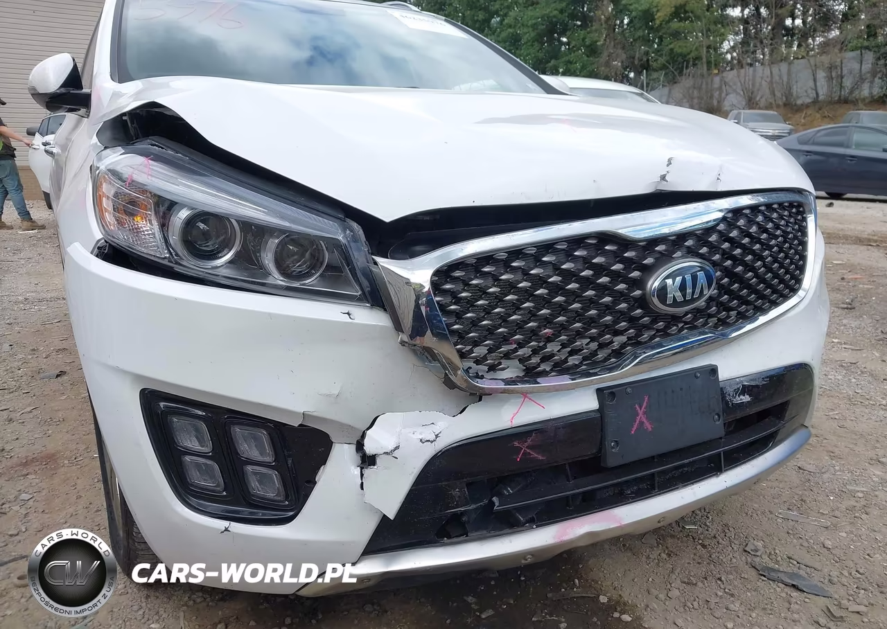2016 Kia Sorento 3.3L Sxl VIN:5XYPKDA59GG013666 - 17