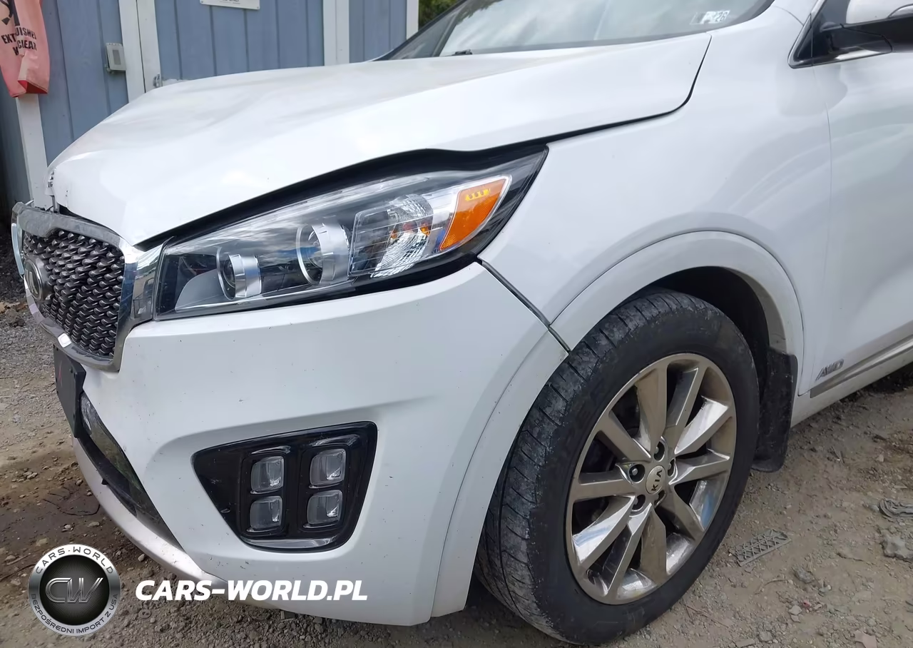 2016 Kia Sorento 3.3L Sxl VIN:5XYPKDA59GG013666 - 18