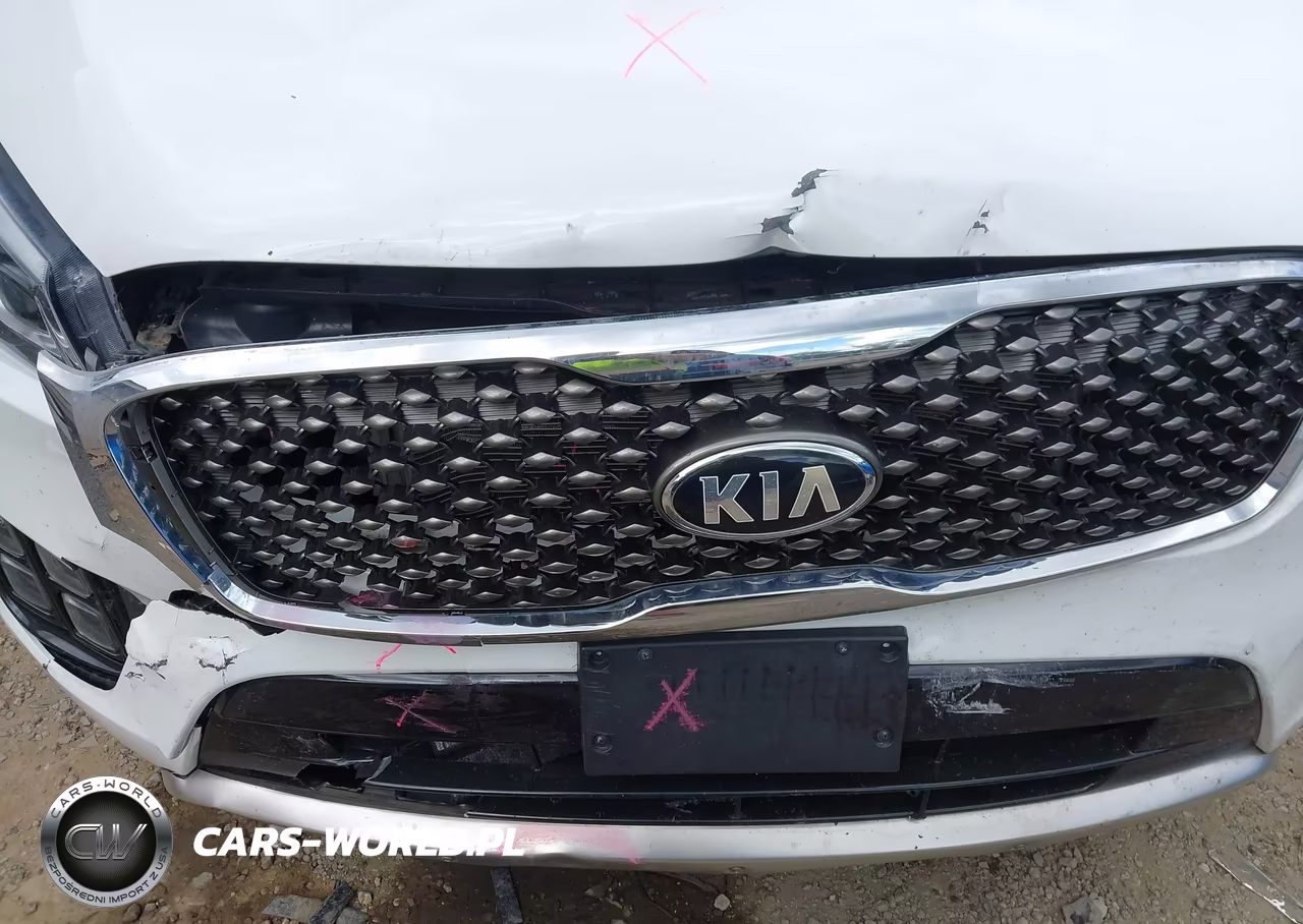 2016 Kia Sorento 3.3L Sxl VIN:5XYPKDA59GG013666 - 19