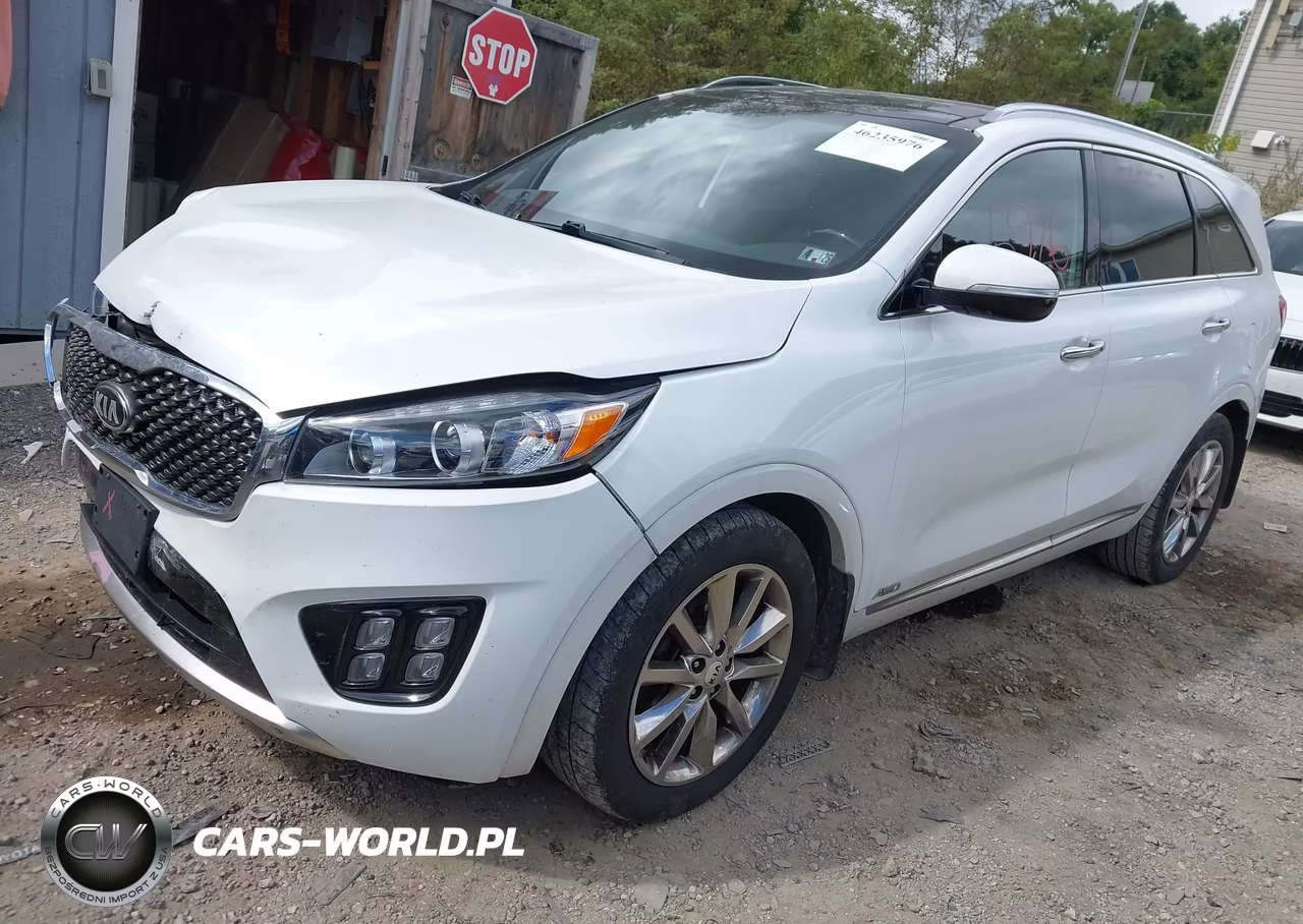 2016 Kia Sorento 3.3L Sxl VIN:5XYPKDA59GG013666 - 2