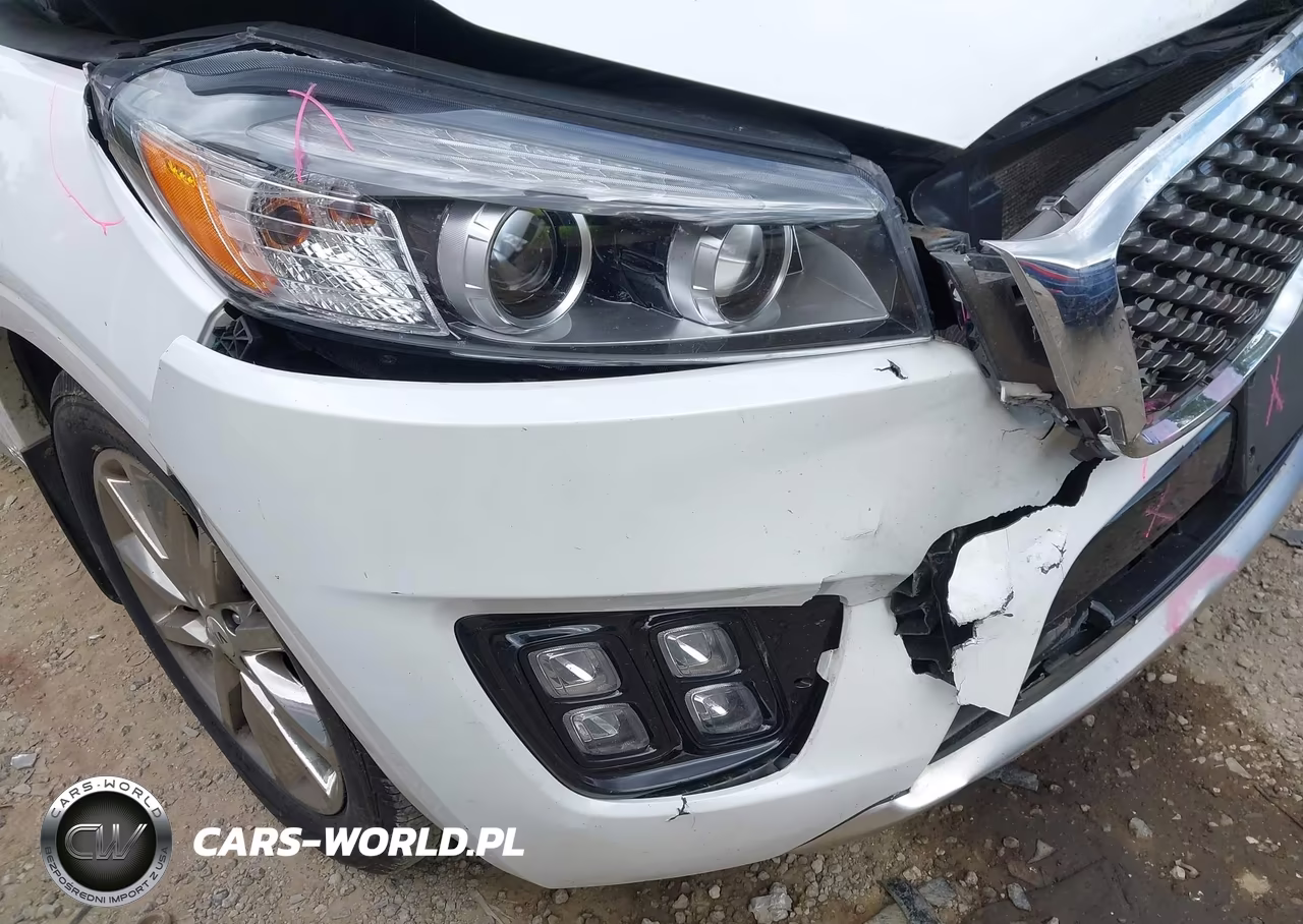 2016 Kia Sorento 3.3L Sxl VIN:5XYPKDA59GG013666 - 20