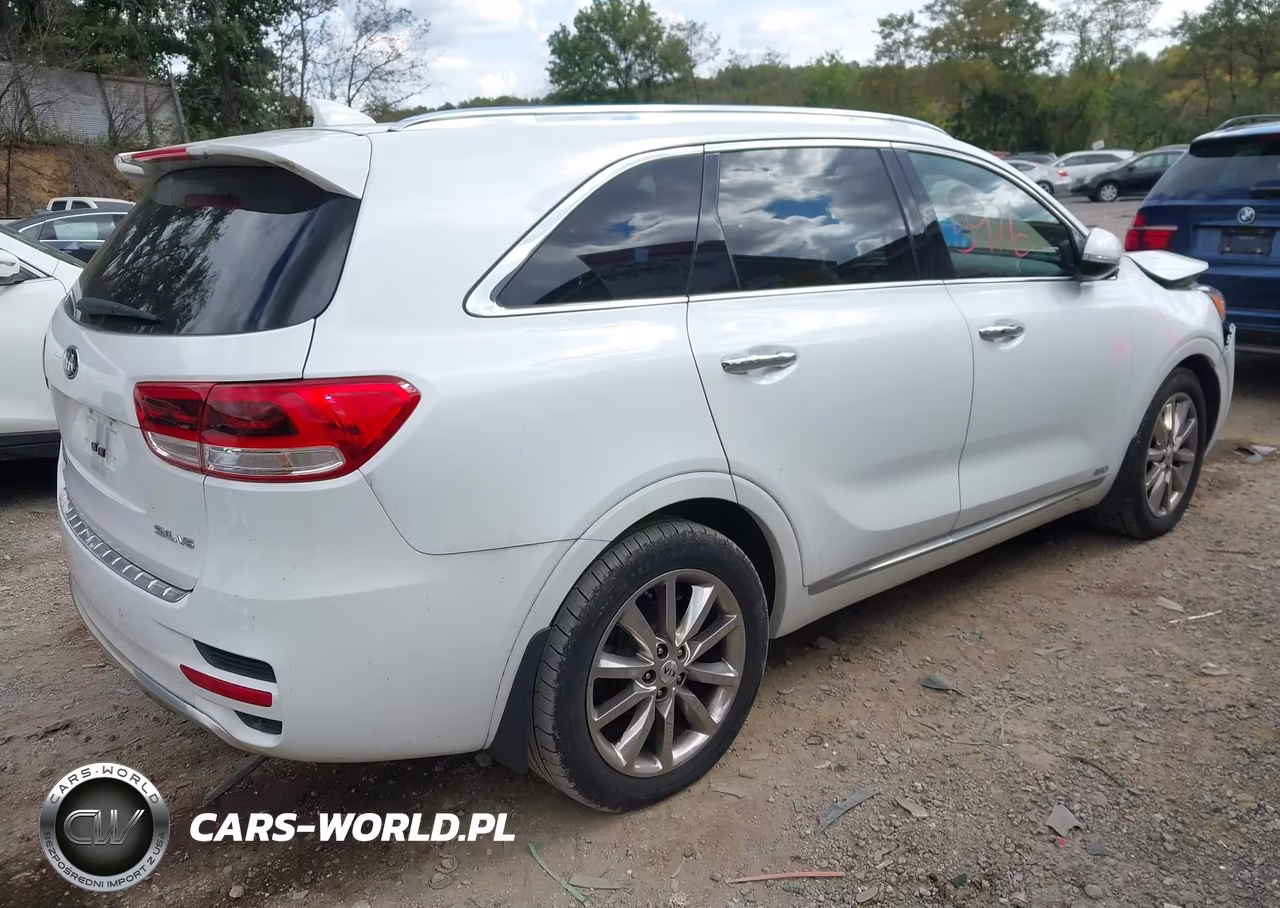 2016 Kia Sorento 3.3L Sxl VIN:5XYPKDA59GG013666 - 4