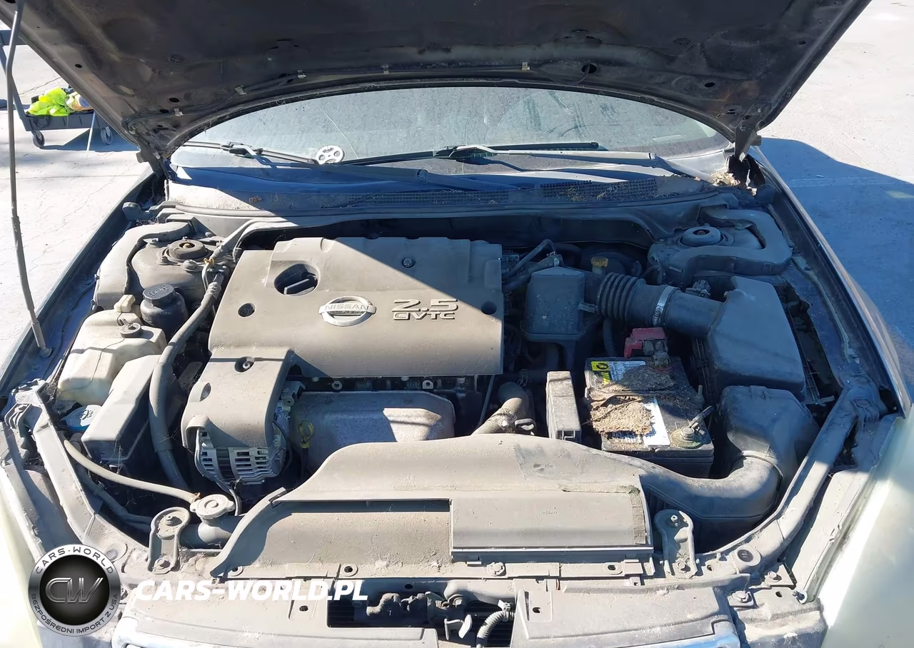 2004 Nissan Altima 2.5 Sl VIN:1N4AL11D84C179899 - 10