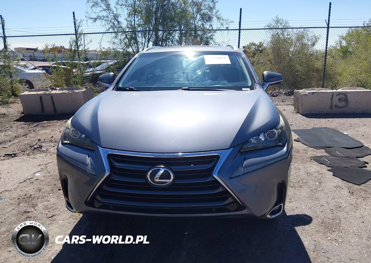 2015 Lexus Nx 200T VIN:JTJBARBZ2F2030066 - 12