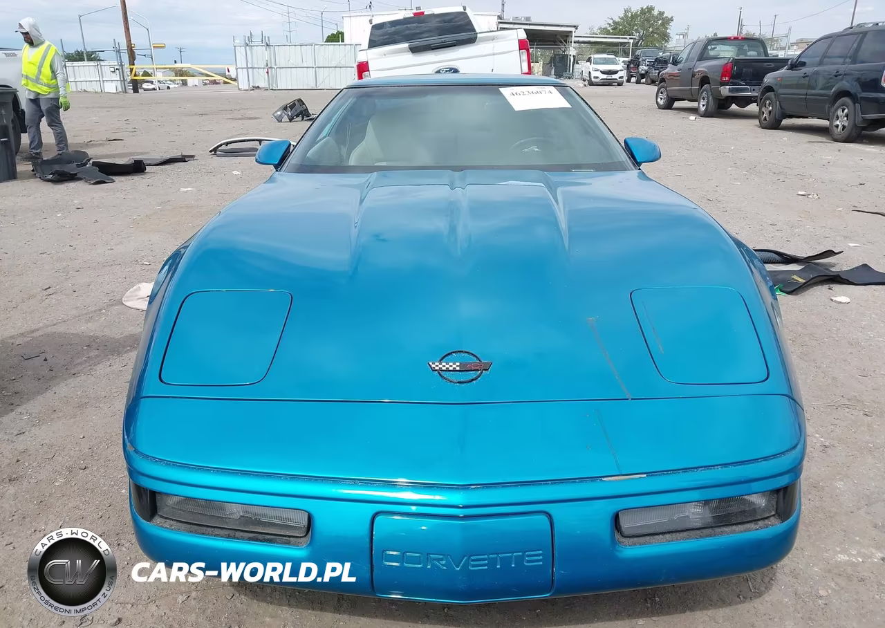 1994 Chevrolet Corvette VIN:1G1YY22P9R5116534 - 12