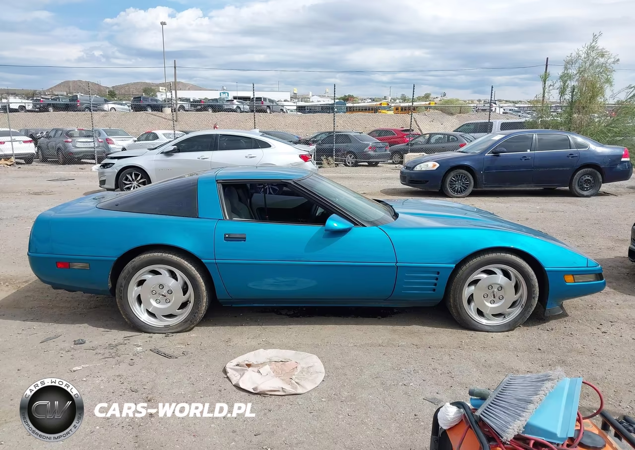 1994 Chevrolet Corvette VIN:1G1YY22P9R5116534 - 13