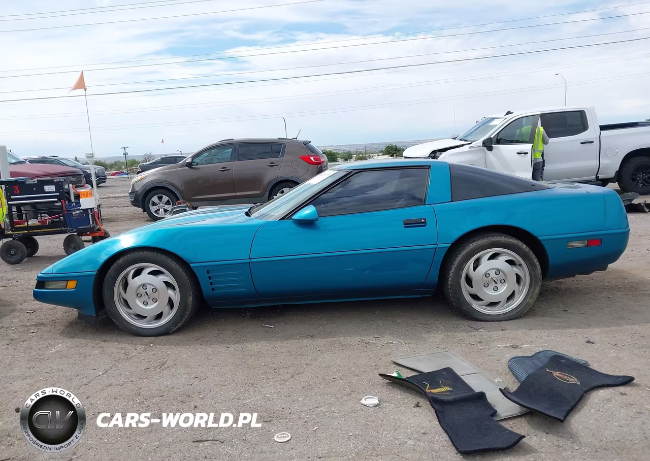 1994 Chevrolet Corvette VIN:1G1YY22P9R5116534 - 14