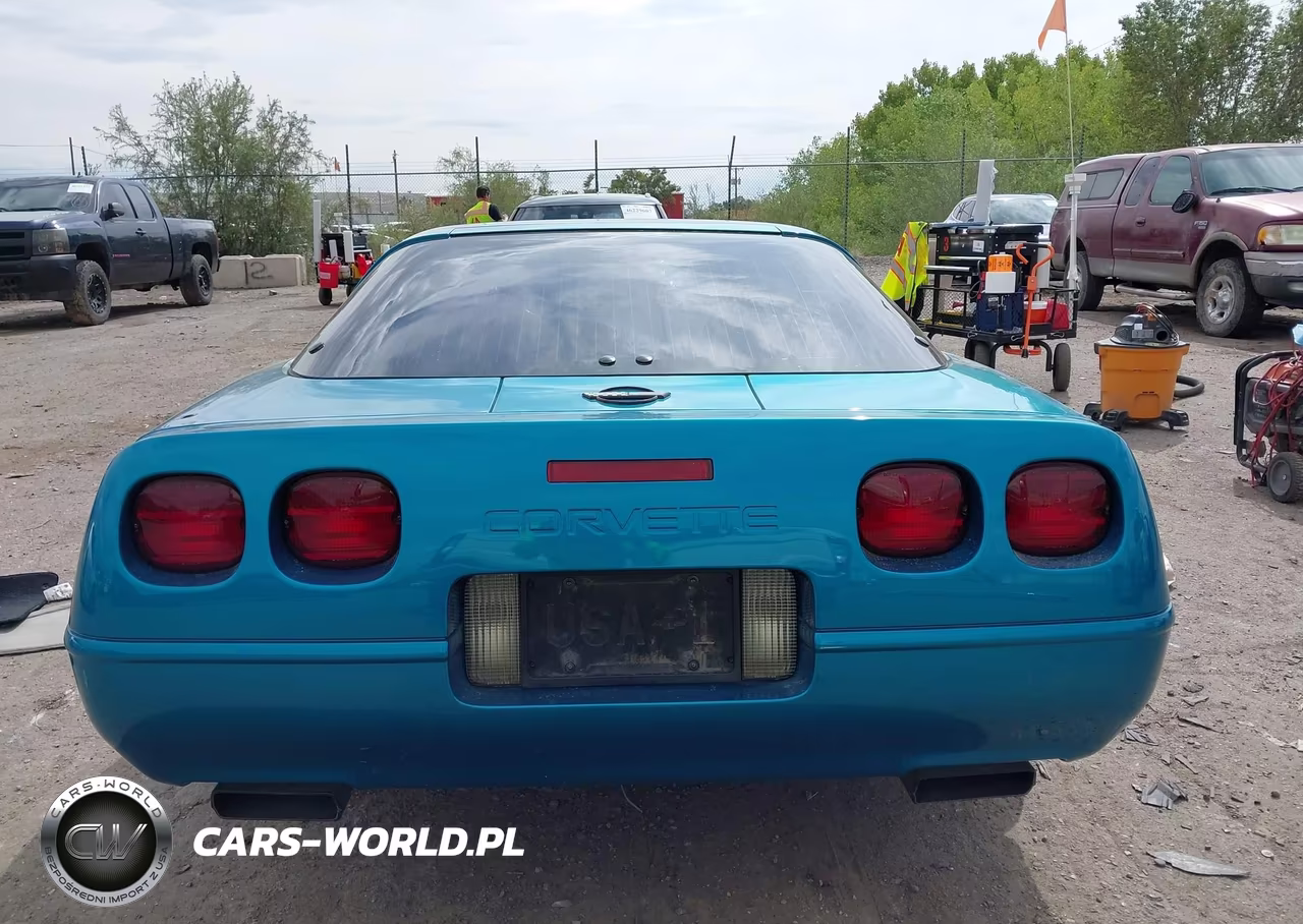 1994 Chevrolet Corvette VIN:1G1YY22P9R5116534 - 16