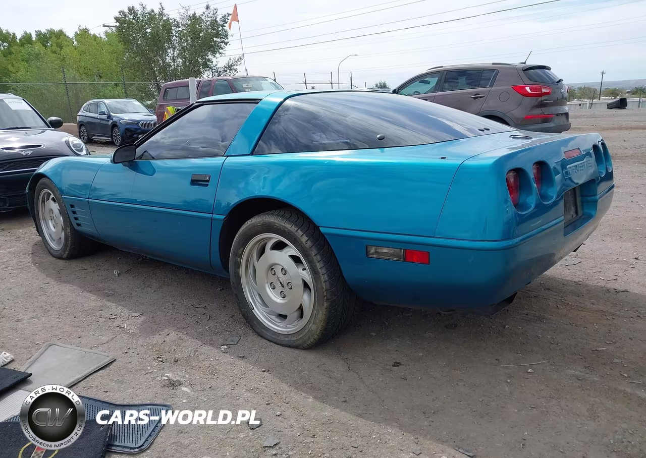 1994 Chevrolet Corvette VIN:1G1YY22P9R5116534 - 3