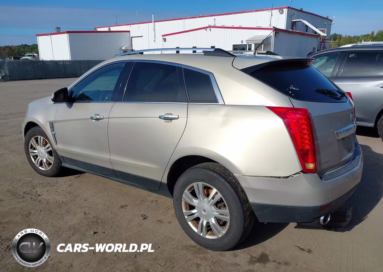 2010 Cadillac Srx Luxury Collection VIN:3GYFNAEY0AS643064 - 3