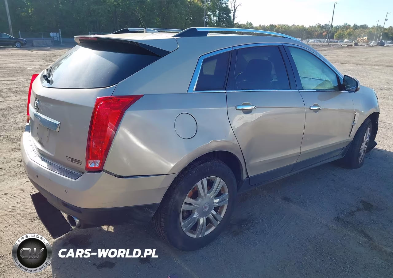 2010 Cadillac Srx Luxury Collection VIN:3GYFNAEY0AS643064 - 4