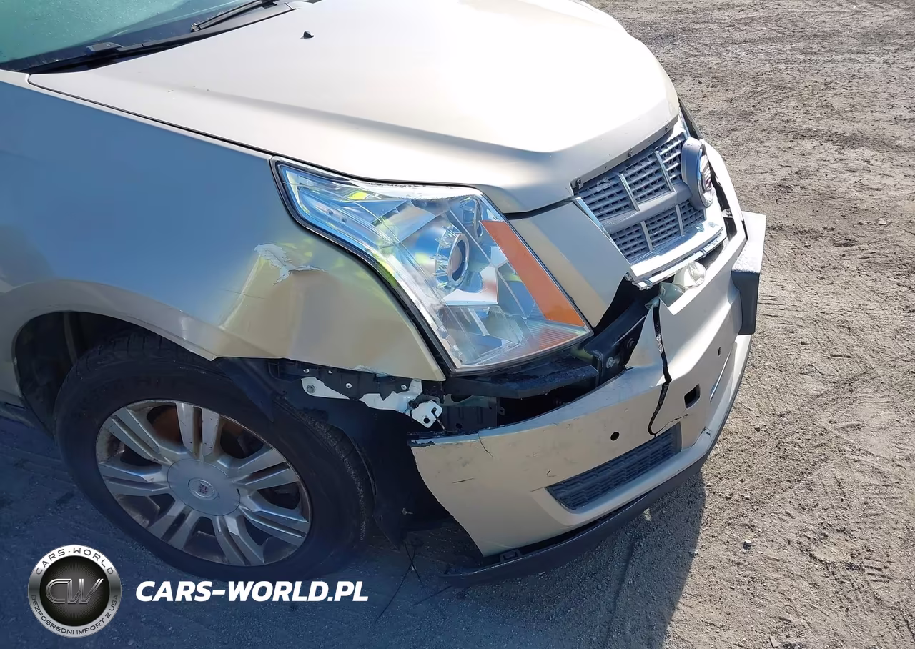 2010 Cadillac Srx Luxury Collection VIN:3GYFNAEY0AS643064 - 6