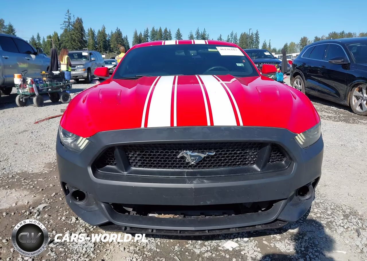 2017 Ford Mustang Gt Premium VIN:1FA6P8CF3H5257601 - 13