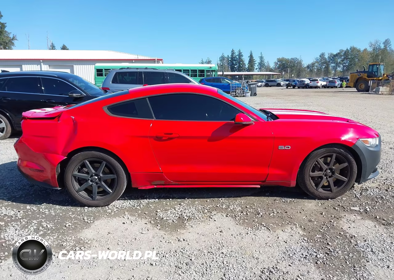 2017 Ford Mustang Gt Premium VIN:1FA6P8CF3H5257601 - 14