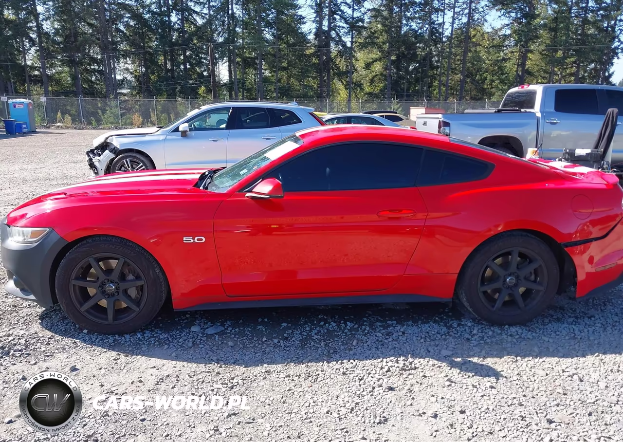 2017 Ford Mustang Gt Premium VIN:1FA6P8CF3H5257601 - 15