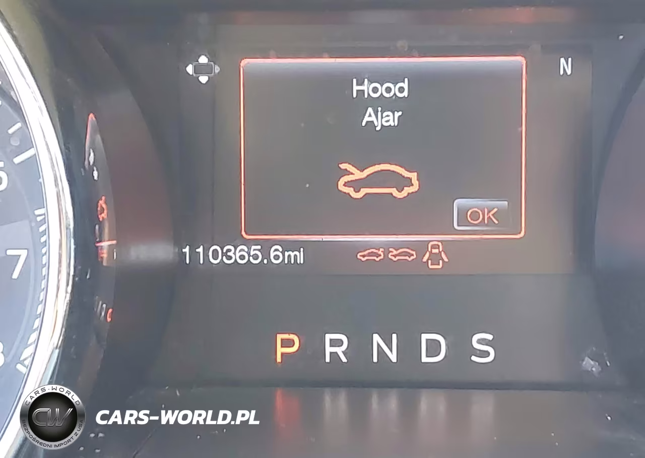 2017 Ford Mustang Gt Premium VIN:1FA6P8CF3H5257601 - 16